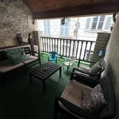 Gite Le Nid des Zoo Zio, 5mn Beauval, appartement terrasse centre-ville