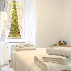 Azadi B&B Flaminio