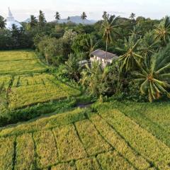 Viveka Inn Guest and Yala Safari