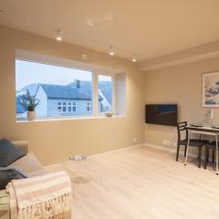 Elegant and comfy apartment