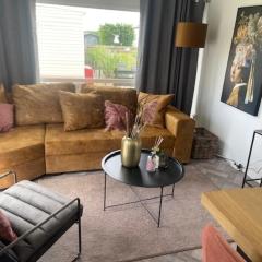 Nr 88 Neues, ruhiges hundefreundliches Ferienhaus direkt am Wattenmeer, komplett eingezäunt