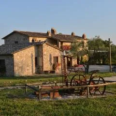 Agriturismo Podere dell' Olmo