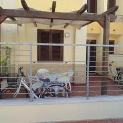 via giotto 1sx farfalla