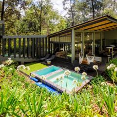 Casa Helechos, Arquitectura Única con Vistas al Bosque
