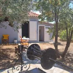 Olive garden room