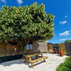 Tiny House Petite Balnéo Cheminée exterieure