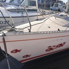 Le chant des mouettes - Voilier