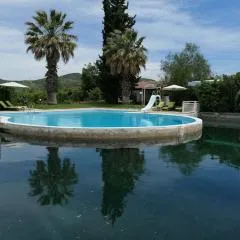Orange Grove Villa
