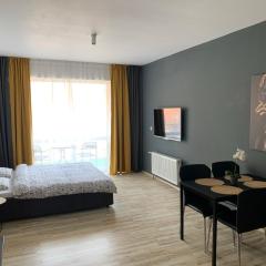 One Apartments Sinaia