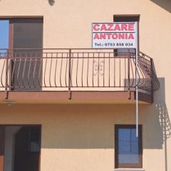 Cazare Antonia