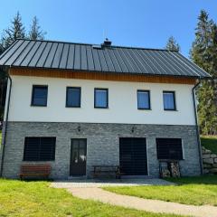 Apartmán U lesa