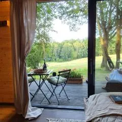 Tiny house - Schoulenka pod mirabelkami
