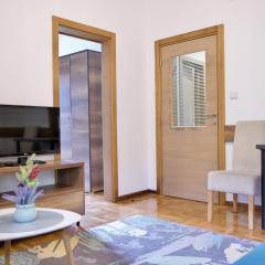 VIK apartman Brzece