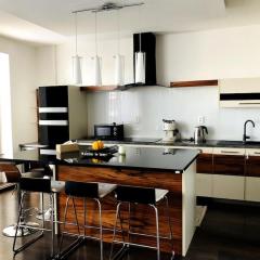 Family Flat in the heart of Senec