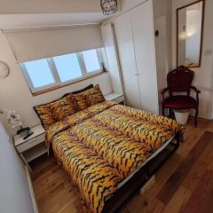 LGBTQ-Double room