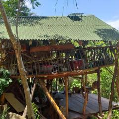 Casa del musgo y helecho