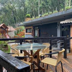 casa da flor estúdio com lareira