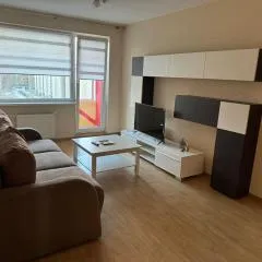 Spacious&cozy south apartment