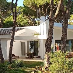 Diseño y luz entre los pinos