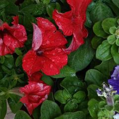 City Center Studio -Braga