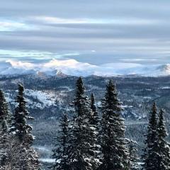 Funäsdalsfjällen för skidor, cykel, vandring och fiske