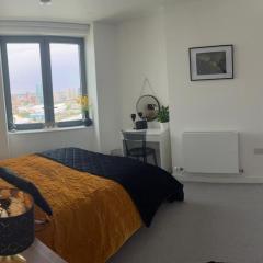 Luxury Apt Near Canary Wharf
