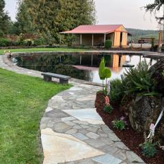 Collins Pond and Lodge