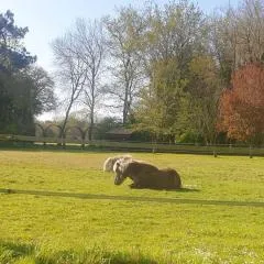 La campagne proche de l Océan