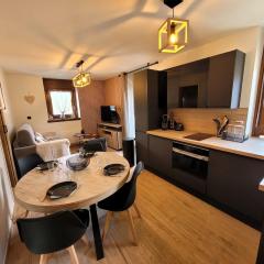 Appartement rénové 4 pers, centre, balcon, charme - FR-1-598-174