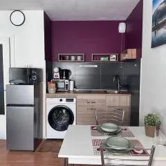 Beau studio proche Strasbourg