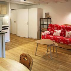 Résidence Le Silhourais - Très joli Studio 4 personnes idéal pour famille MAE-9331