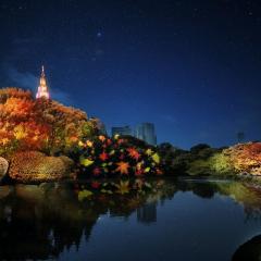 国立競技場そば新宿御苑目の前 Luxe designer Residence near National Stadium built four years ago ,Max4ppl,3adaults