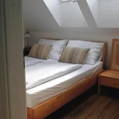 V rajské zahradě