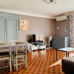 Appartement F2 Climatisé avec Wifi à Amélie-les-Bains - FR-1-703-46