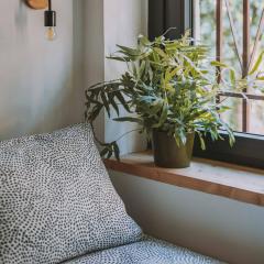 Cim's Apartments Cerdanya 1