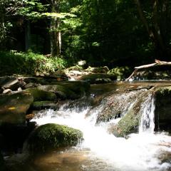 Newly Renovated Log Cabin, Hot Tub, Roaring Creek