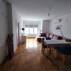 Room in a nice sunny apartment