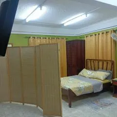 Urban Oasis Apartment 2