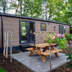 Gezellig vakantiechalet in bosrijke omgeving op de Veluwe