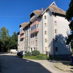 Apartman Veličković