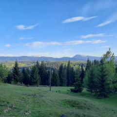 Еко-садиба "Під ліском"