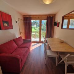 Appart 2 pièces, 4 pers, proche télécabine et commerces, balcon au sud, casier à skis - FR-1-265-206