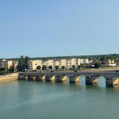 Le Jean Jaurès - Vue imprenable sur la Saône