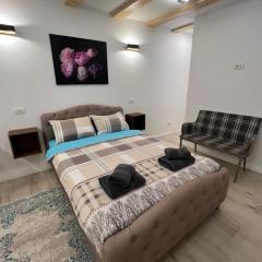 Cozy Central Studio Brasov
