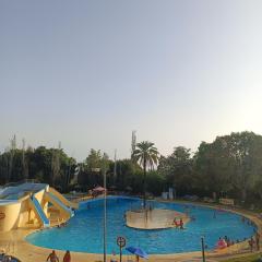 Midori Estudio Minerva