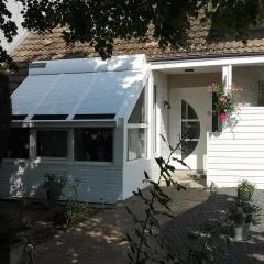 Les Eléphants bleus