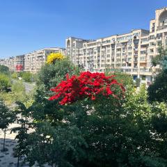 LazyNest - Central 2BR Apt near Piata Alba Iulia