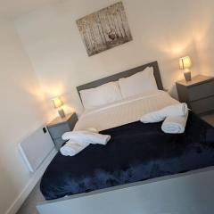 Lovely 1BR Penthouse near MCR Stadiums