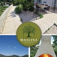 Apartments Maslina