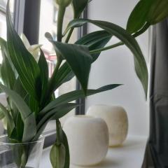 Bénodet au pied du port charmant Duplex neuf calme au cœur de la station